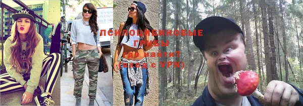 герыч Карпинск